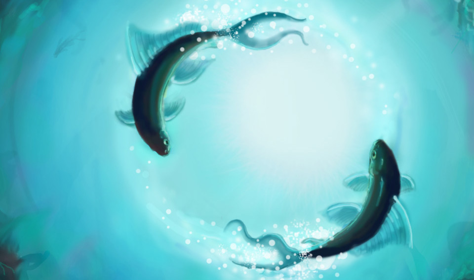 11 things you should know about the Pisces in your life